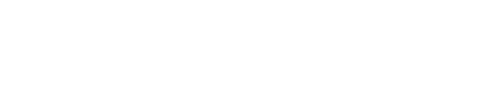 Vector Synergy logo